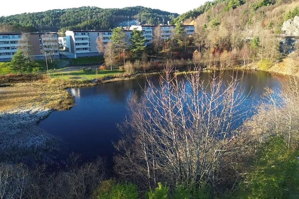 Your Dream Studio In Bergen Exterior foto